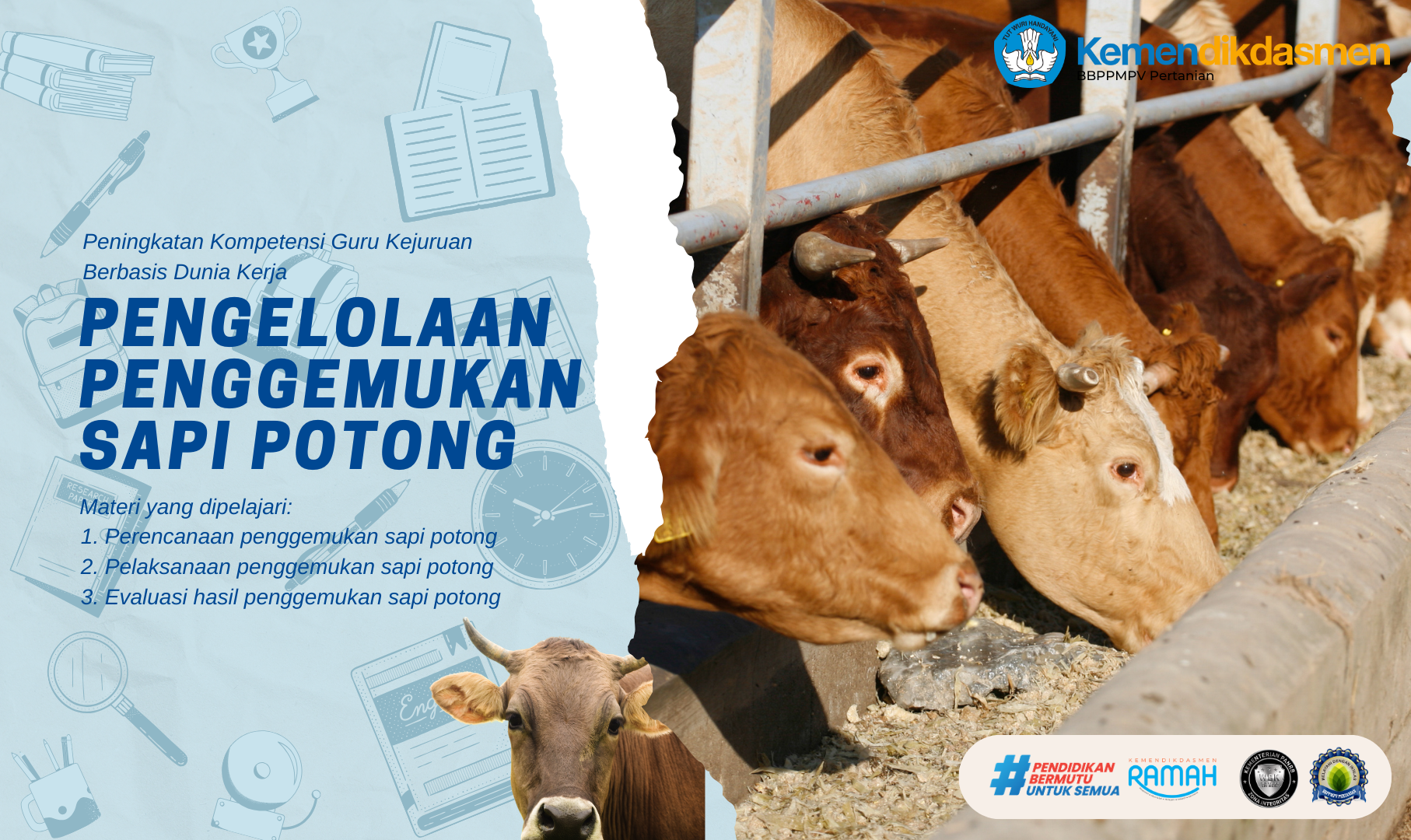 Summary of Pengelolaan Penggemukan Sapi Potong | Vedca